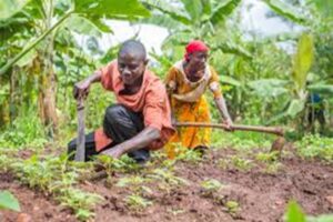 Article-agri-300x200 Aux Coin Des Idées